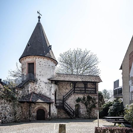 Haus Irmgard Lejlighed Zell am Harmersbach Eksteriør billede