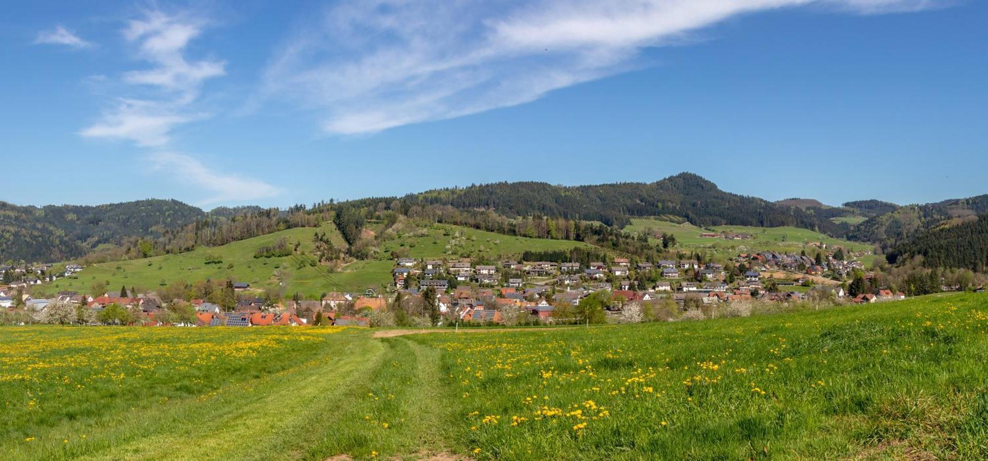 Haus Irmgard Lejlighed Zell am Harmersbach Eksteriør billede