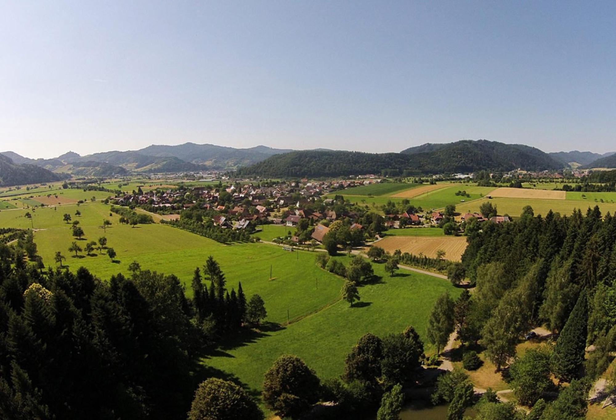 Haus Irmgard Lejlighed Zell am Harmersbach Eksteriør billede